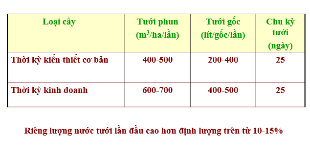 dinh luong nuoc tuoi cho cay ca phe