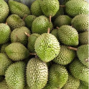 sầu riêng Thái