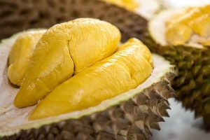 giống sầu riêng Thái