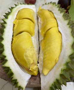 Musang King