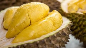Sầu riêng Dona