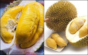 trái sầu riêng Ri6