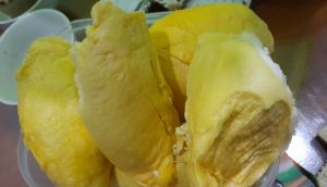 sầu riêng Ri6 ngon chất lượng