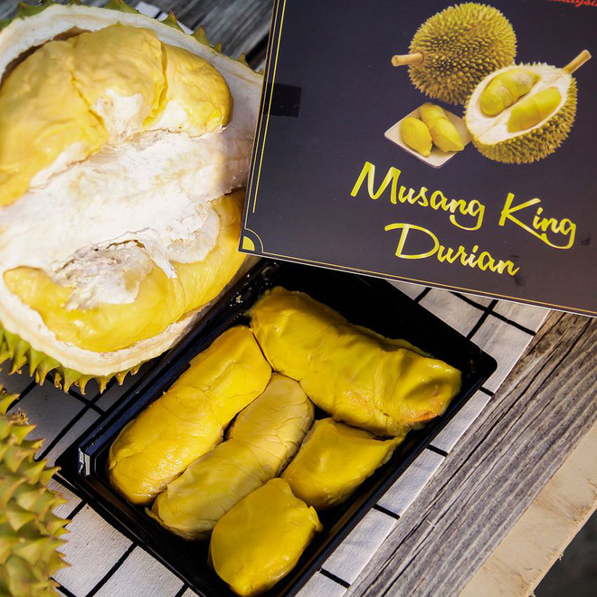trái sầu riêng Musang King