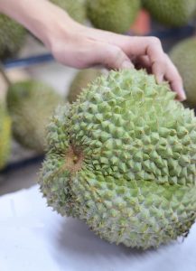 quả sầu riêng Back Thorn